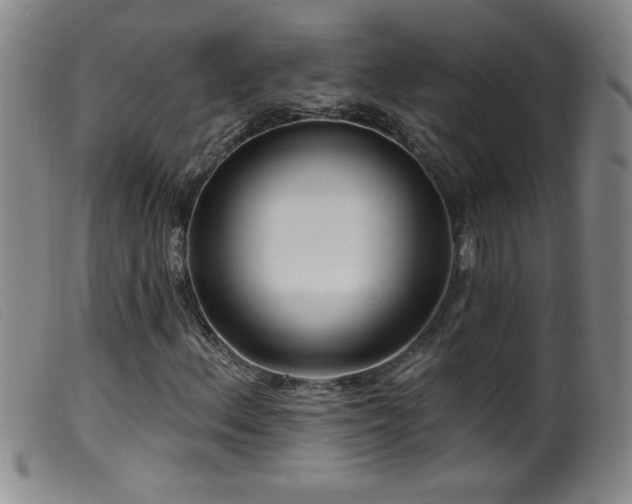X0000099541156200805161421