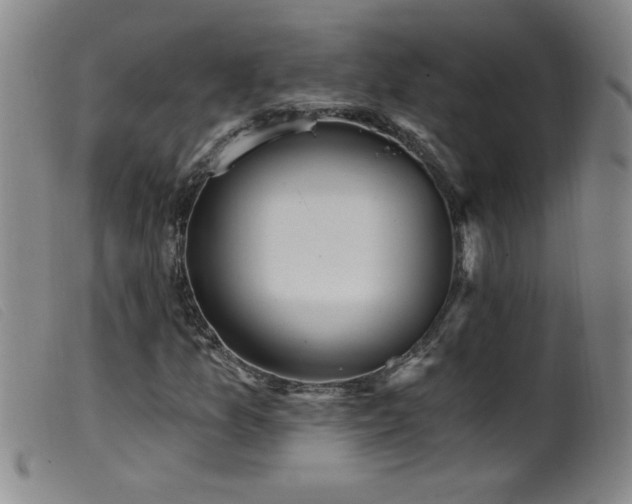 X0000099541157200805161421
