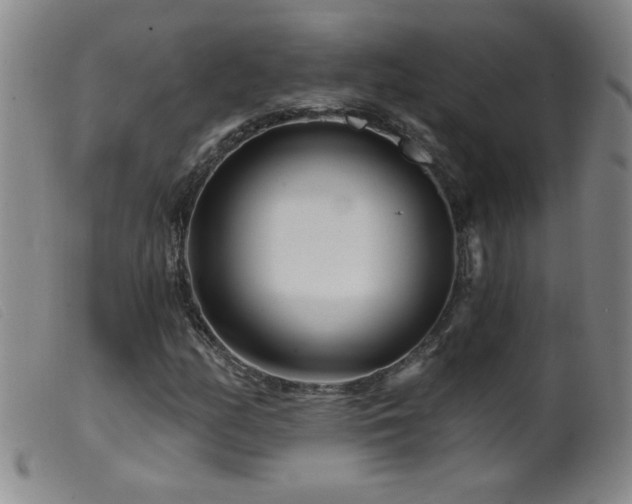 X0000099541158200805161421