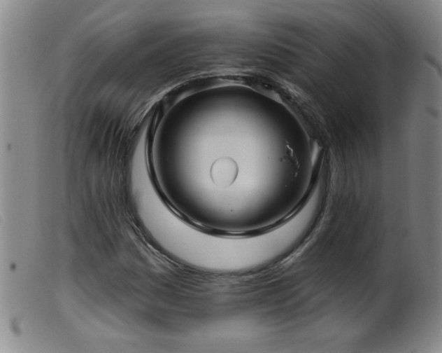 X0000099541161200805161421