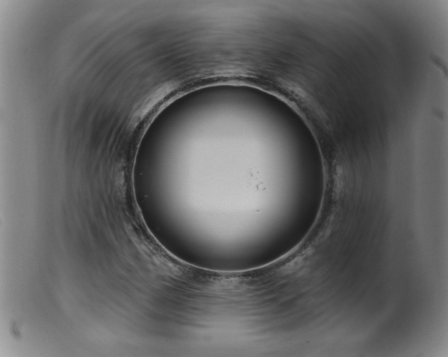 X0000099541162200805161421
