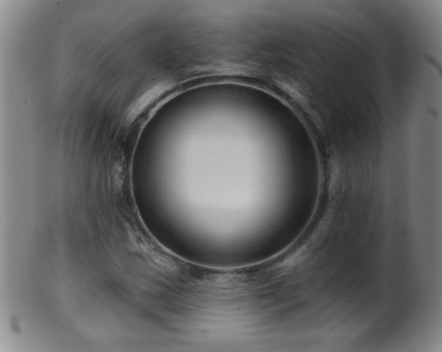 X0000099541163200805161421