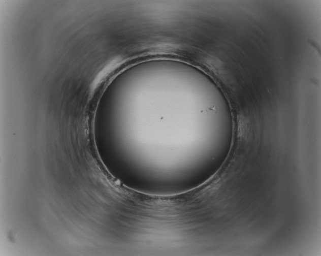 X0000099541164200805161421