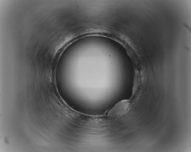 X0000099541165200805161421