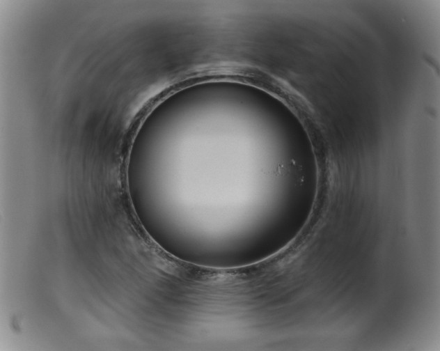 X0000099541166200805161421