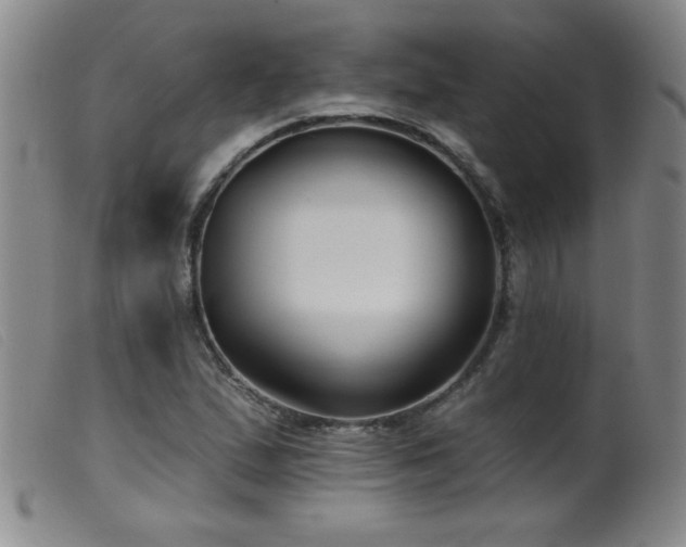 X0000099541167200805161421