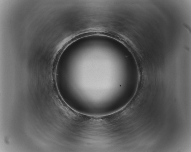 X0000099541168200805161421