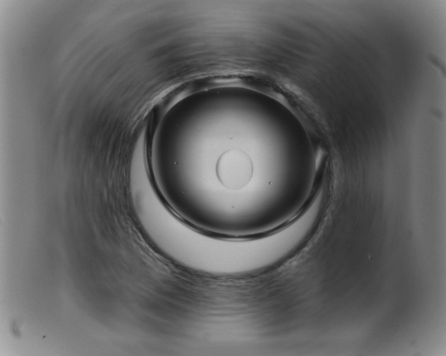 X0000099541169200805161421