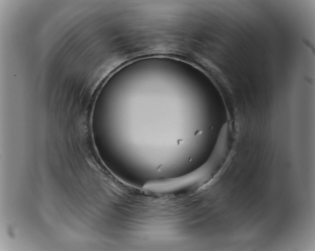 X0000099541170200805161421