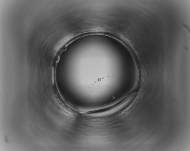 X0000099541171200805161421