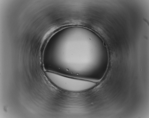 X0000099541172200805161421