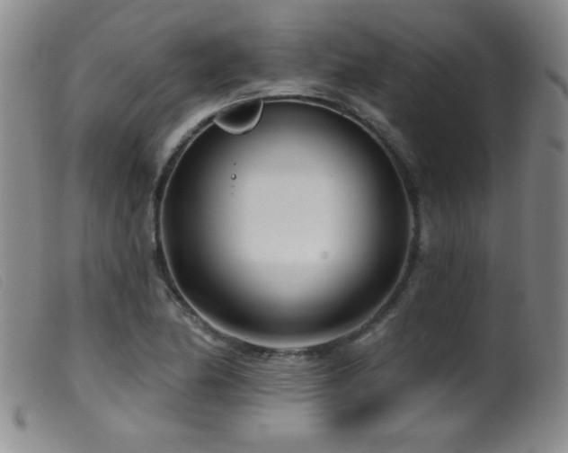 X0000099541174200805161421