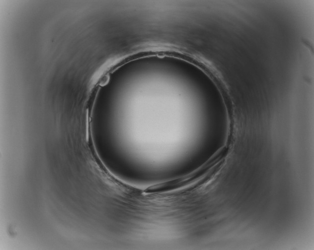 X0000099541175200805161421