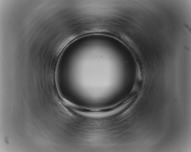 X0000099541177200805161421