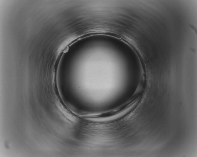 X0000099541179200805161420