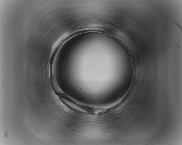 X0000099541180200805161420