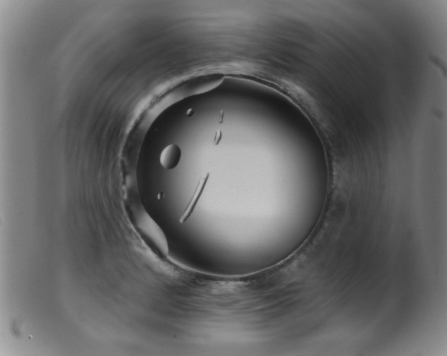 X0000099541184200805161420