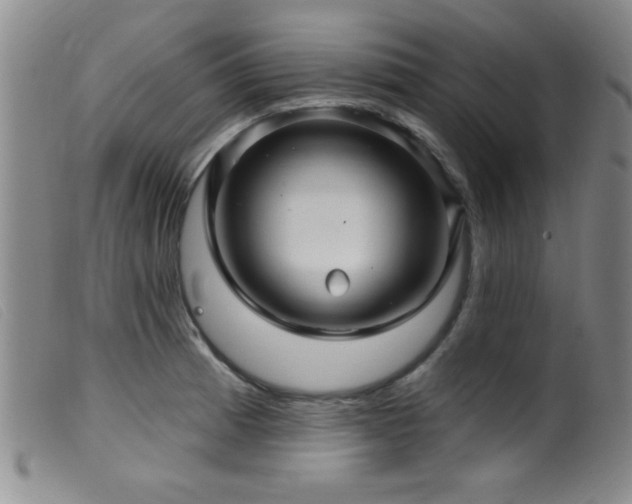 X0000099541185200805161420