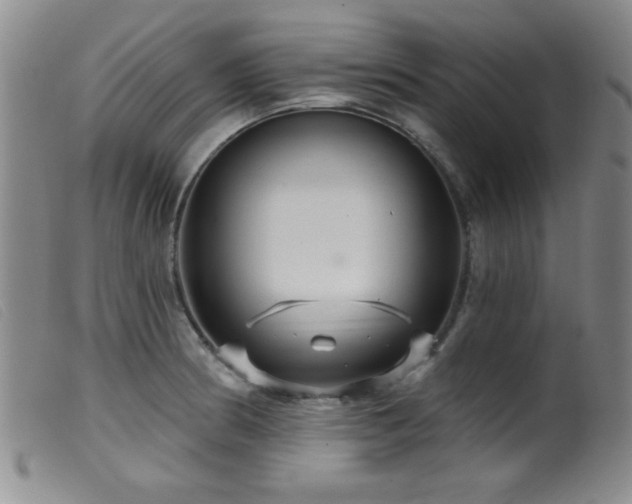 X0000099541186200805161420