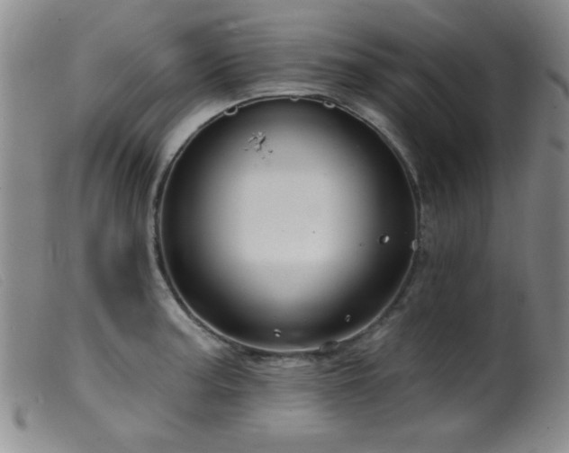 X0000099541187200805161420