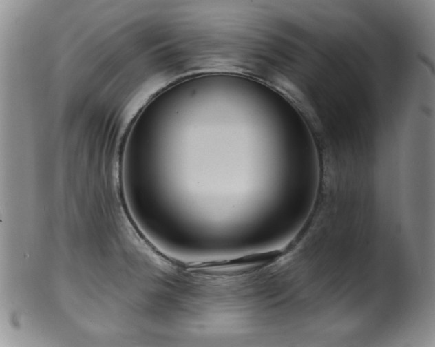 X0000099541188200805161420