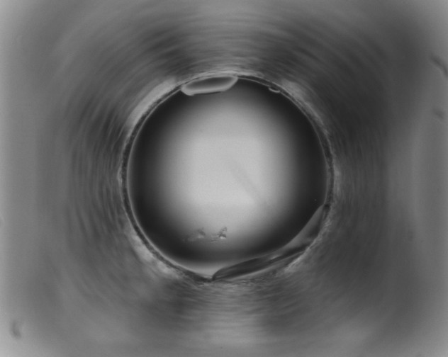 X0000099541189200805161420
