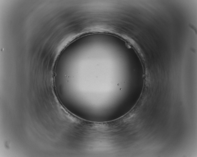 X0000099541191200805161420