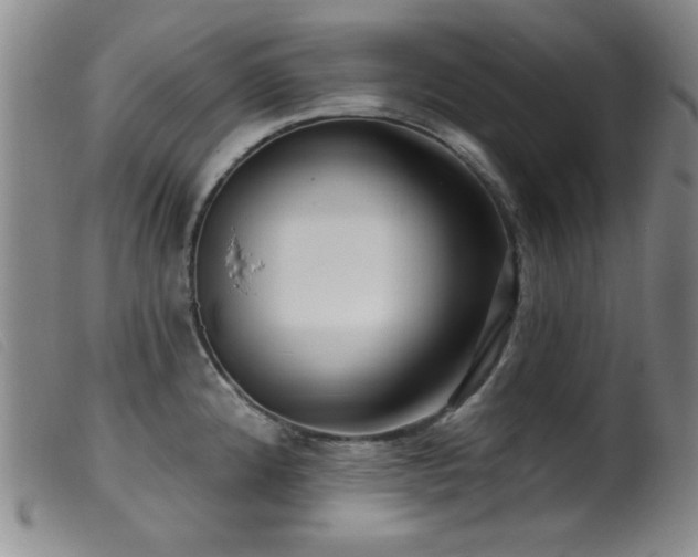 X0000099541192200805161420