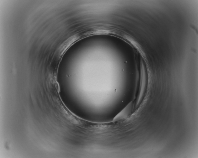 X0000099541193200805161420