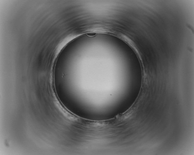 X0000099541195200805161420