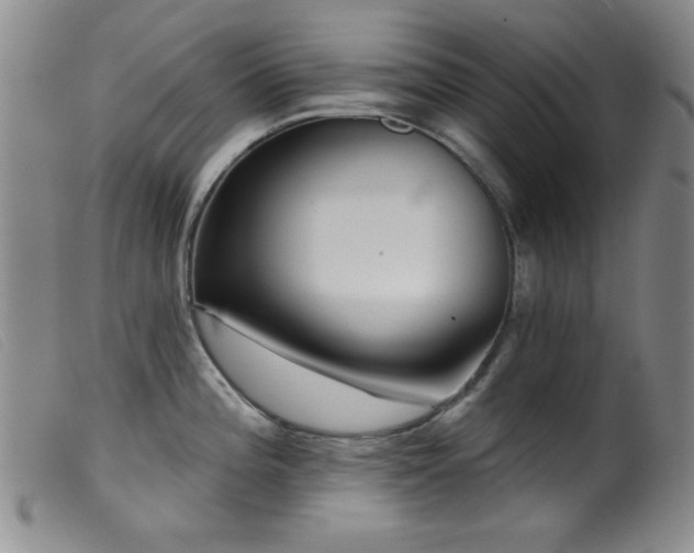 X0000099541196200805161420