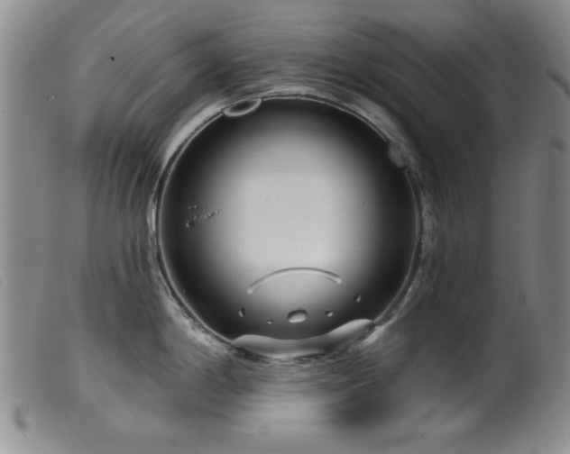 X0000099541198200805161420