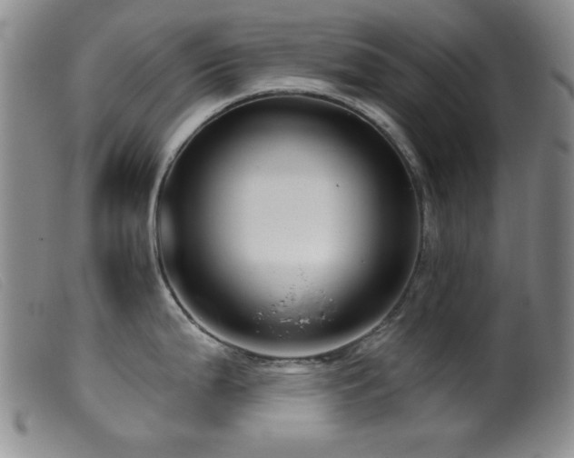 X0000099541199200805161420