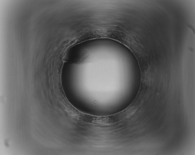 X0000099541201200805161419