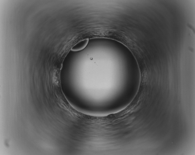 X0000099541202200805161419