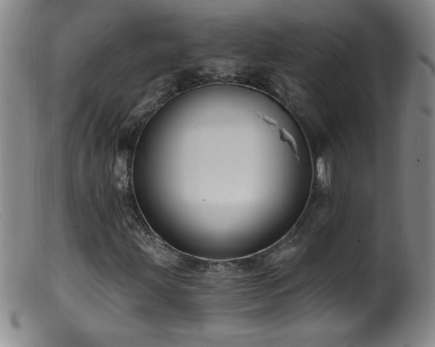 X0000099541203200805161419
