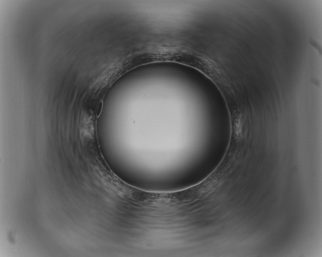 X0000099541204200805161419