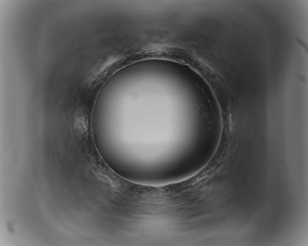 X0000099541206200805161420