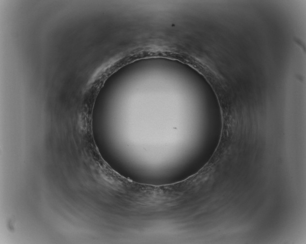 X0000099541207200805161420