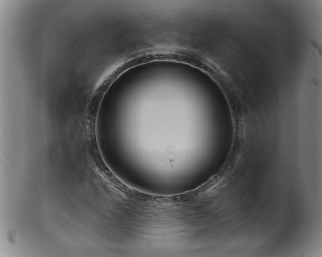 X0000099541208200805161420