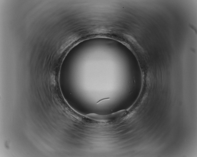 X0000099541209200805161420