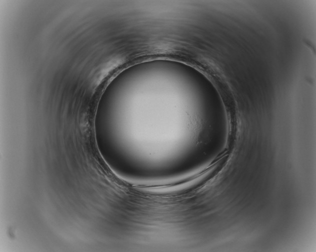 X0000099541210200805161420