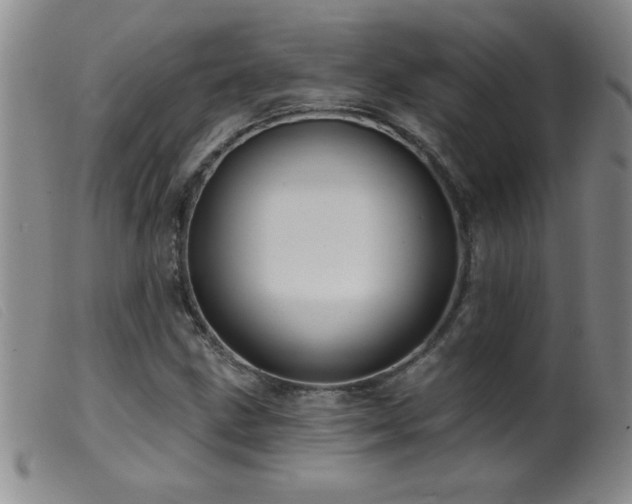 X0000099541211200805161420