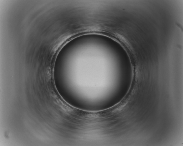 X0000099541212200805161420