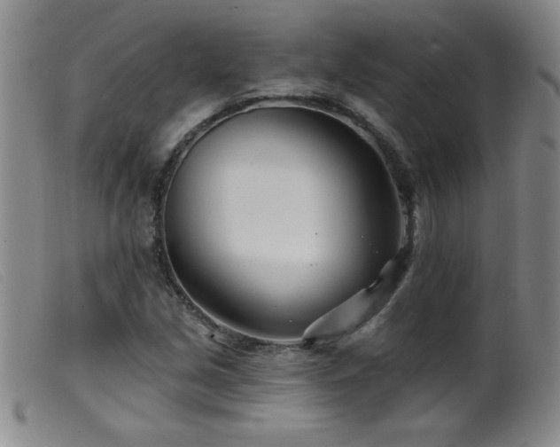 X0000099541213200805161420