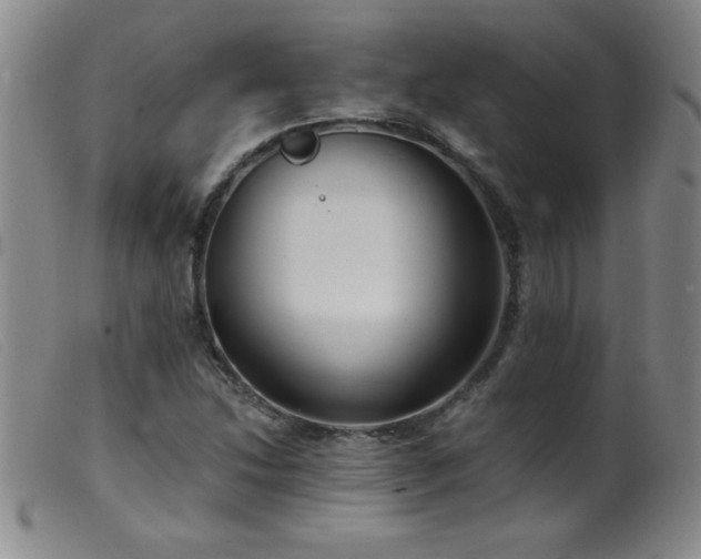 X0000099541214200805161420