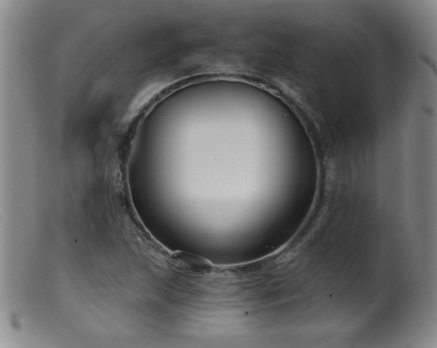 X0000099541215200805161420