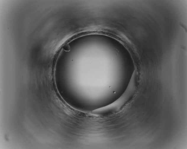 X0000099541216200805161420