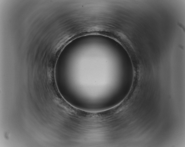 X0000099541217200805161420
