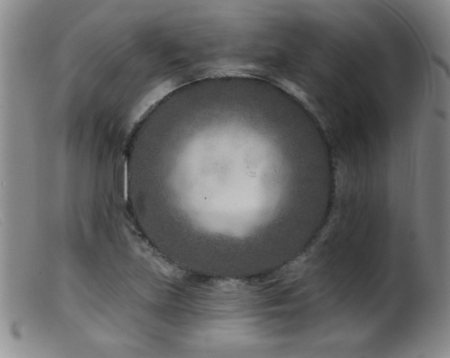 X0000099541219200805161420